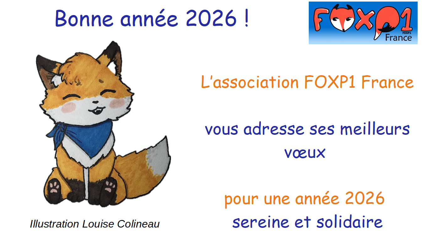 Vœux 2026